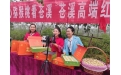 ������岥���������󼤻��ҵ������˫����